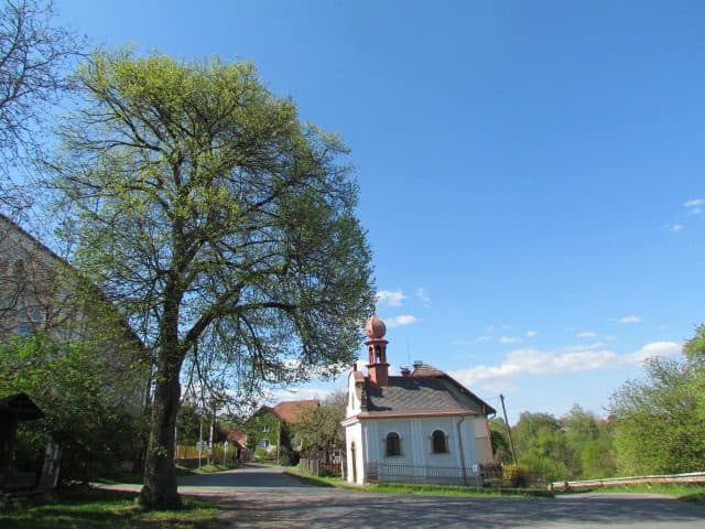 Svatojakubská cesta, Žitavská trasa, Český Dub - Mnichovo Hradiště