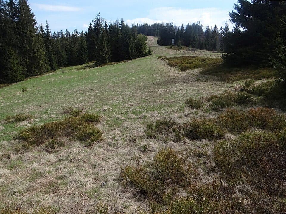 Ostrowsko - Wisielakówka
