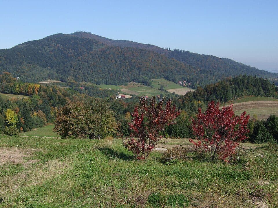 Ciecień