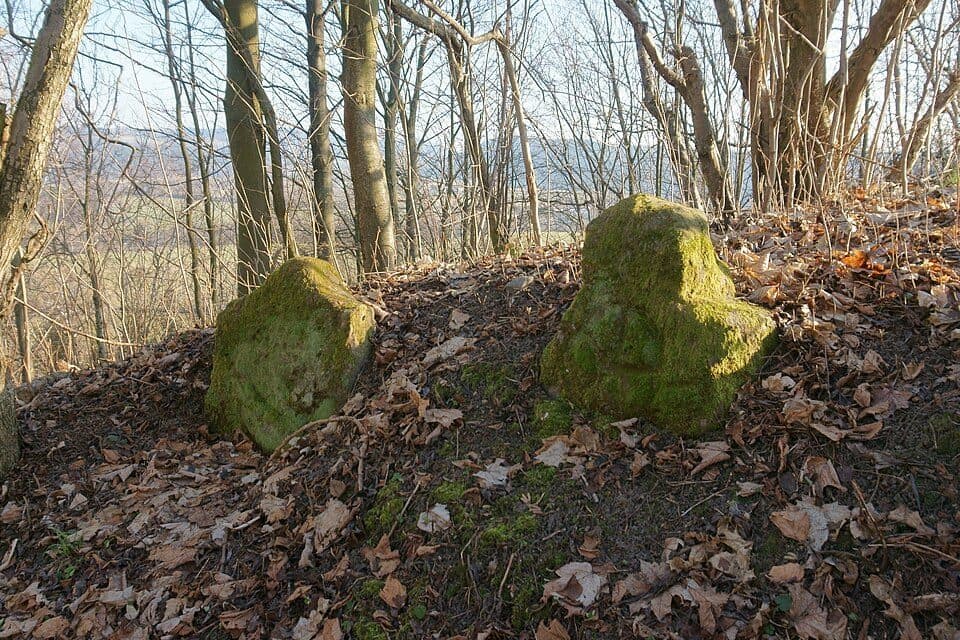 [Č] Javorník - Hodkovice nad Mohelkou