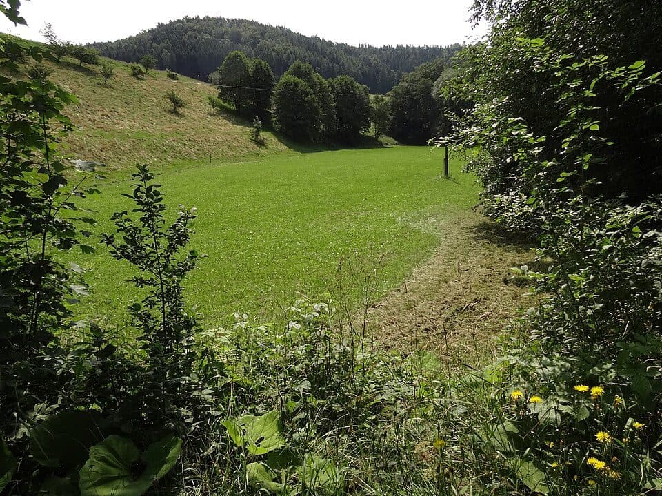 [Z] Rašovské sedlo - Kohoutivice