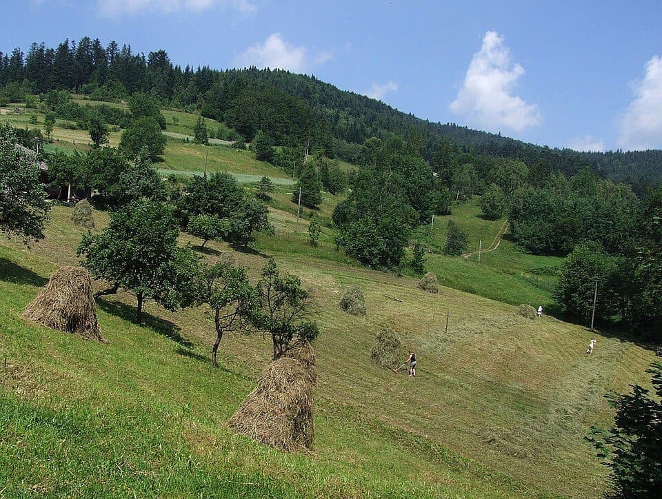 Węglówka - Szczyrzyc