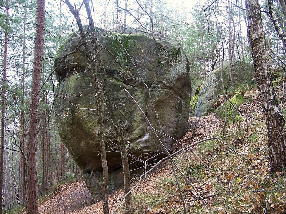 Paprocka