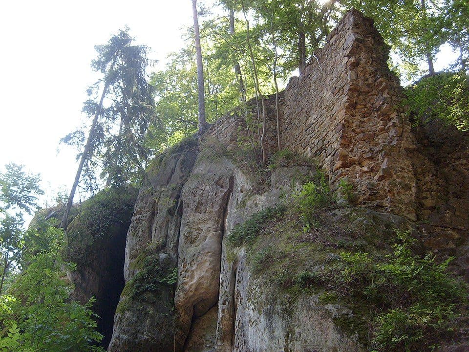 Pařez