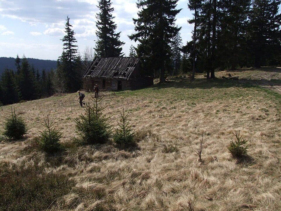 Obidowiec (szczyt)