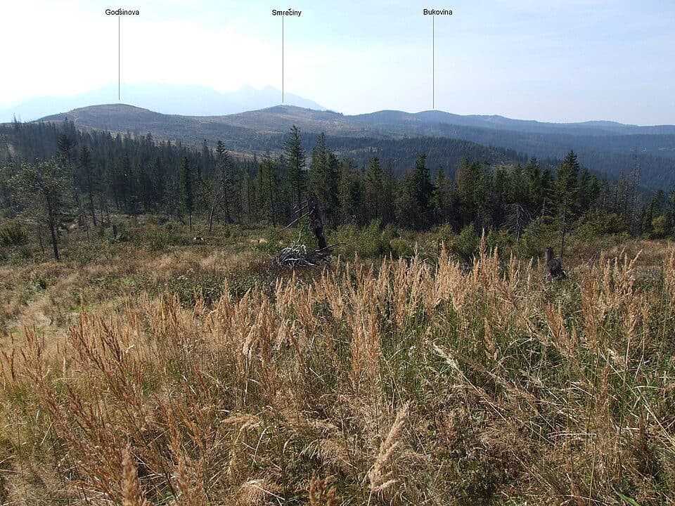 Bukovina (1176 m)