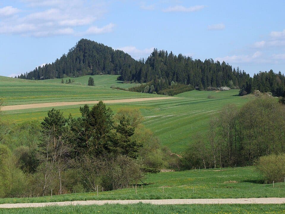 Zakopane - Szaflary - Dursztyn