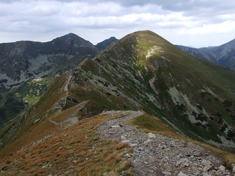 Smrek (Tatry)