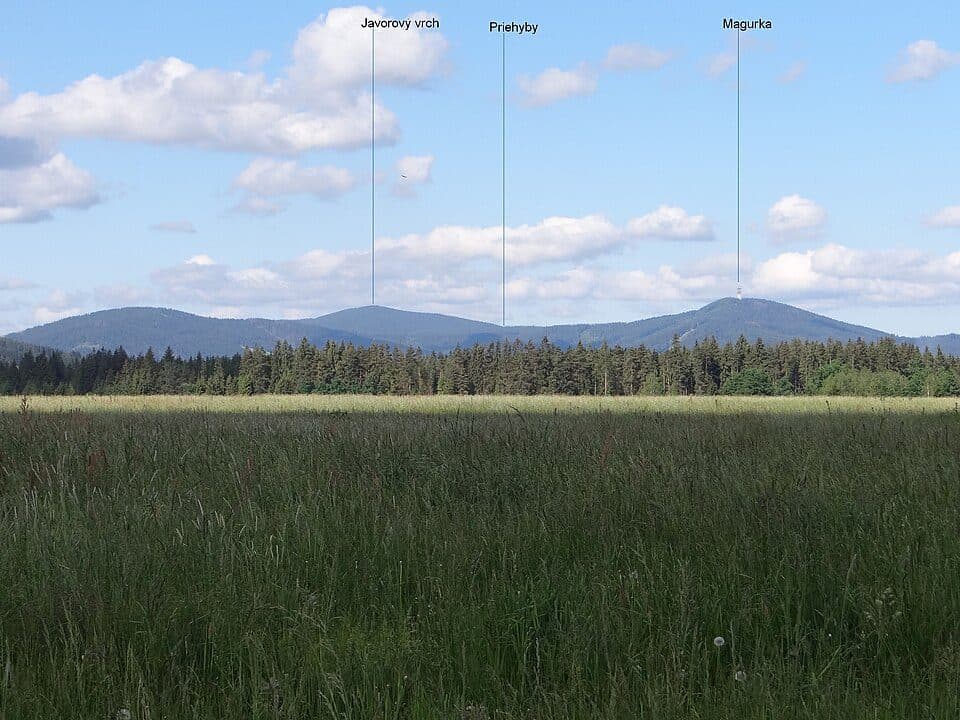 Javorový vrch (Magura Orawska)