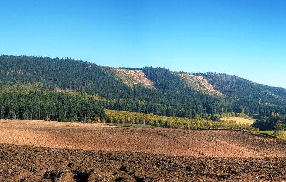 Róg (góra)