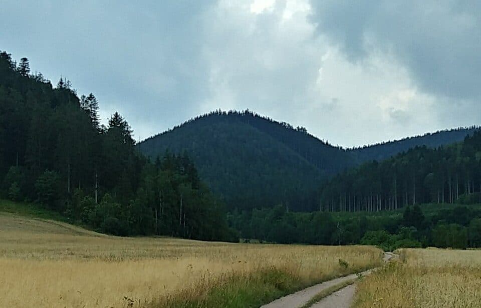 Bógdał (Góry Krucze)