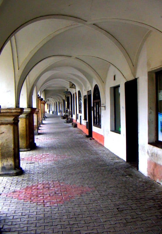 Lubawka - Różana