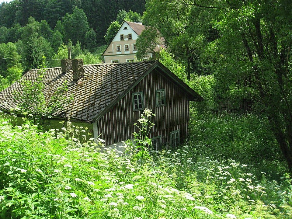 Okrzeszyn granica – Strażnicze Naroże