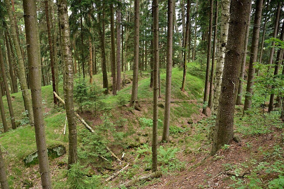 [Z] Adršpašské skály - placený okruh