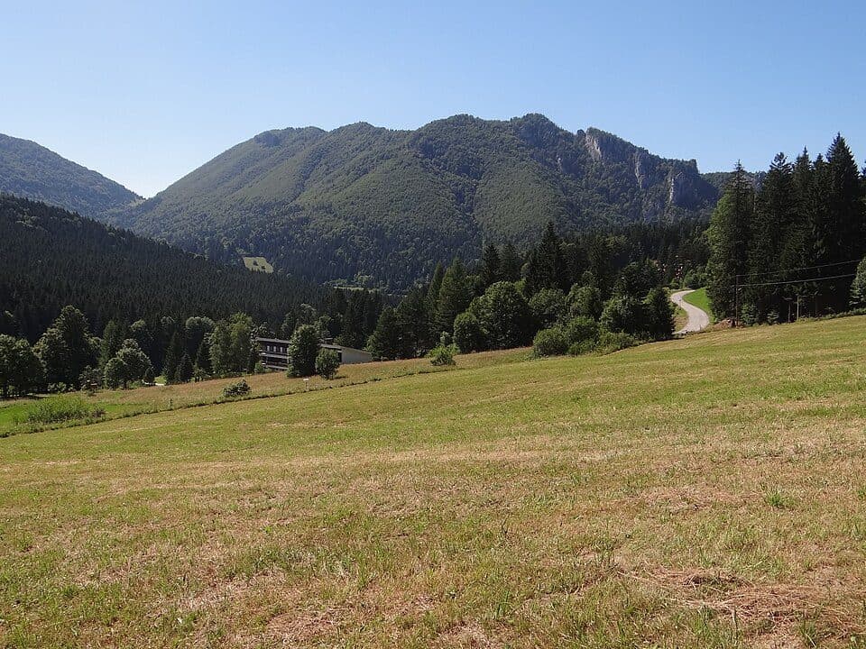 Sokolie