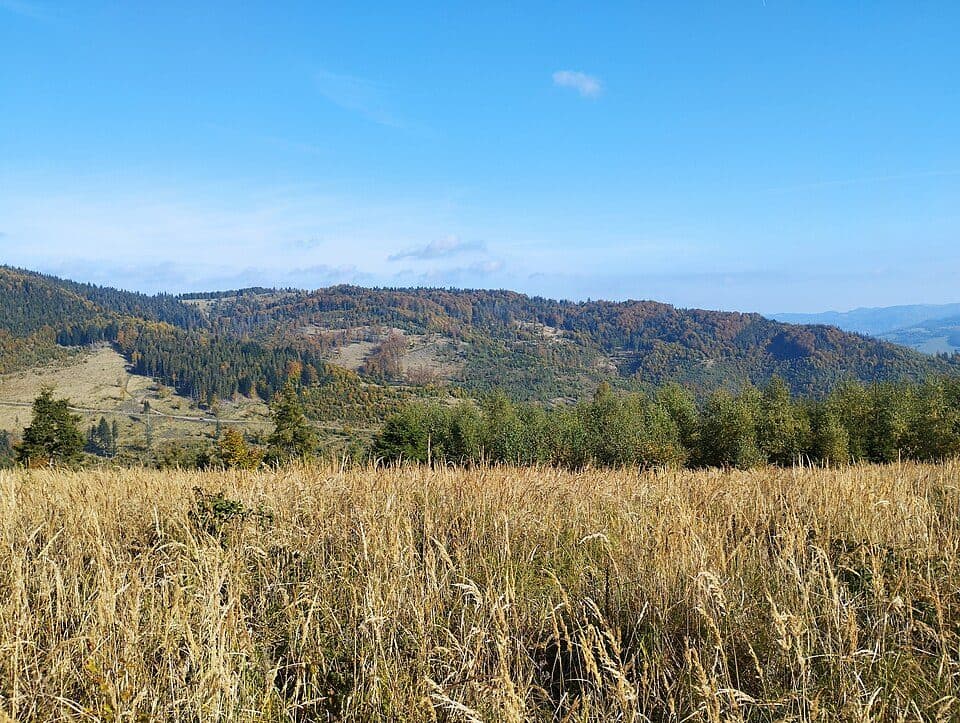 Vojtov vrch