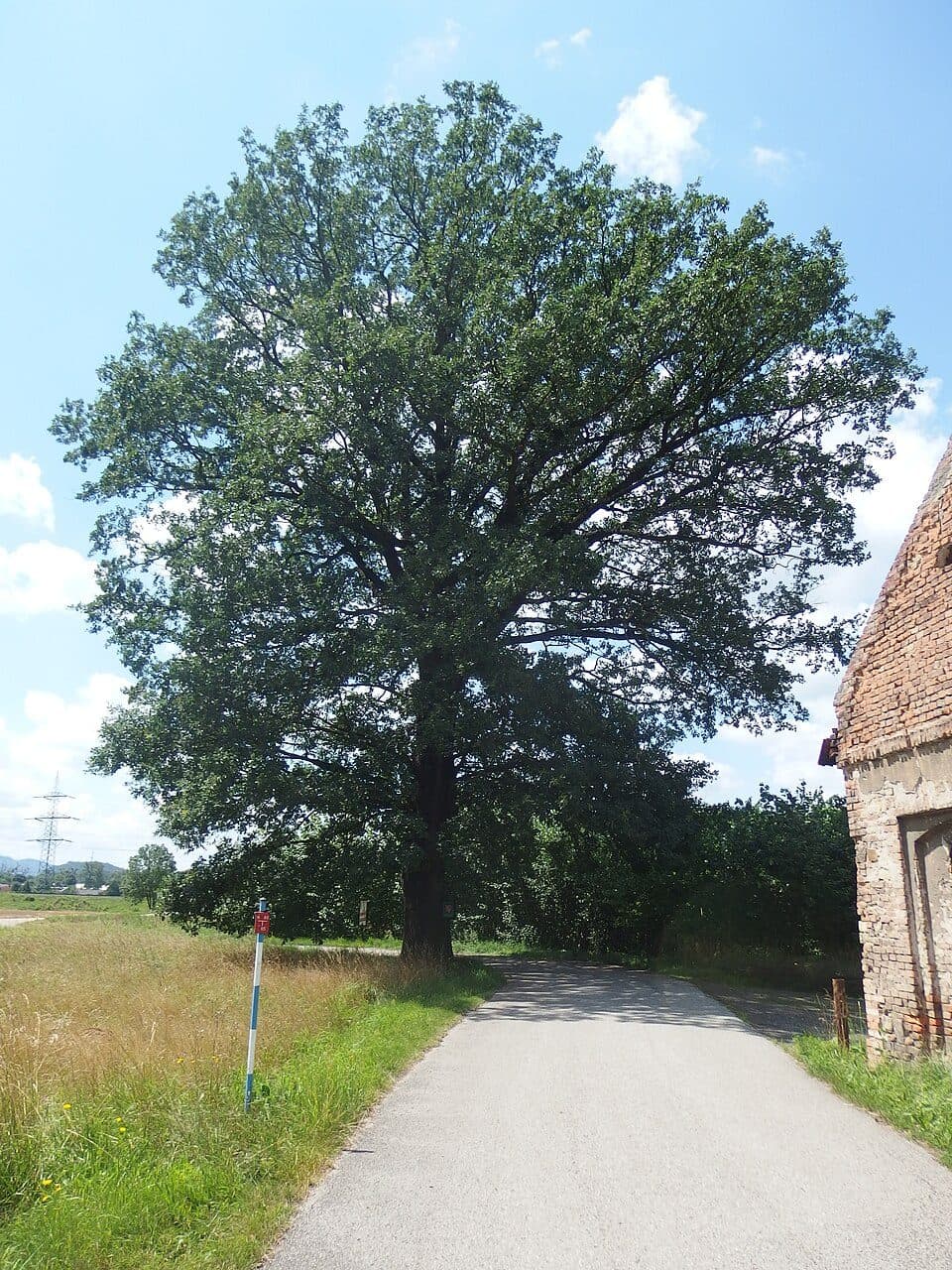 Paskovský okruh