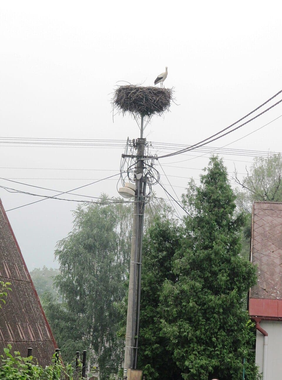 Nová Dědina - Opálená - Nad starou salaší - Skalka (sedlo) - Skalka (vrchol)