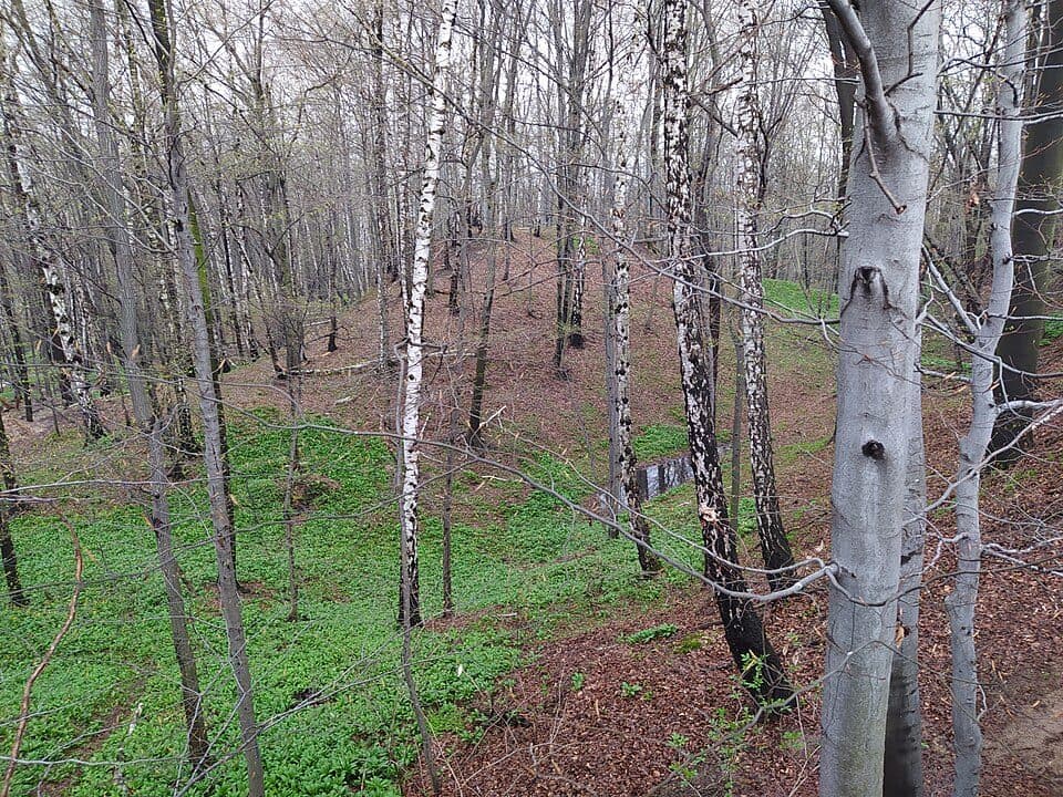 Racimów — zdjęcie 2