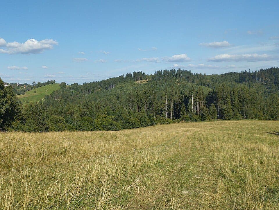 Kozove vŕšky