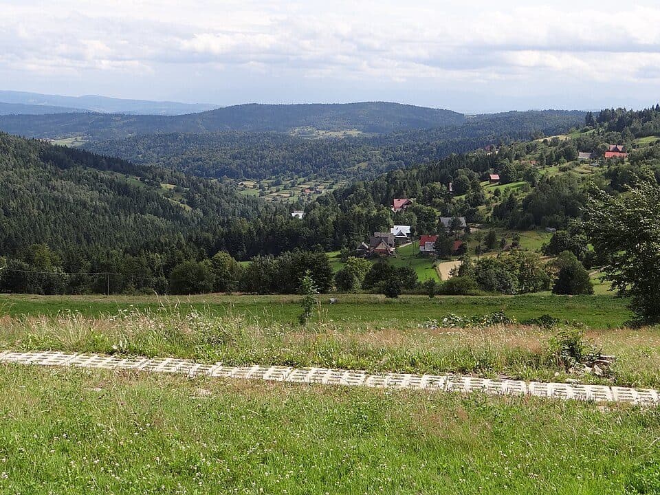Zębalowa — fotografie 3