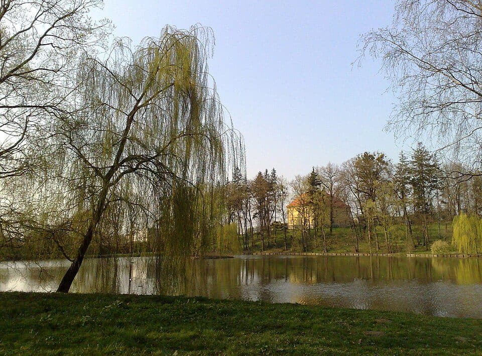 Zámek Trnávka — photo 3