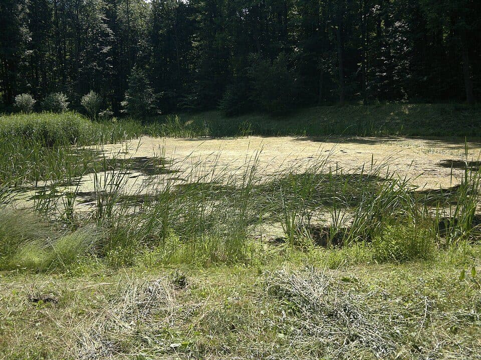 odbočka k Jasníkové studánce