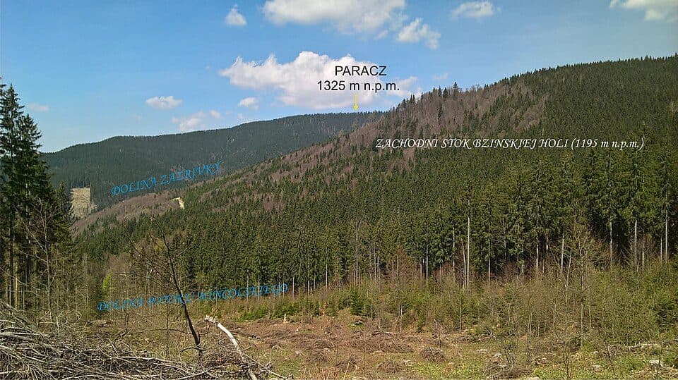 Paráč — zdjęcie 3
