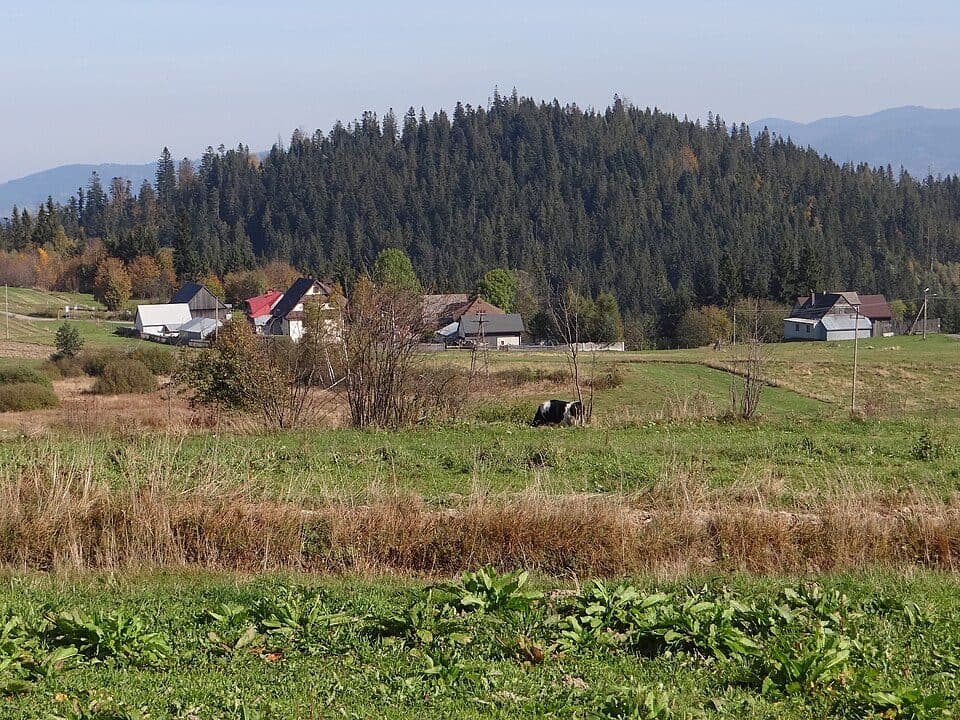 Szaflary - Żeleźnica