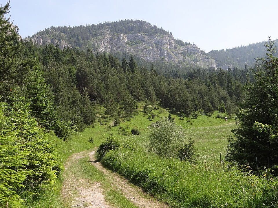 Soliská
