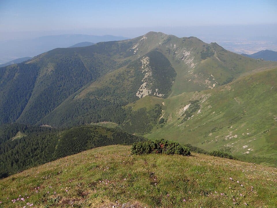 Mojský grúň