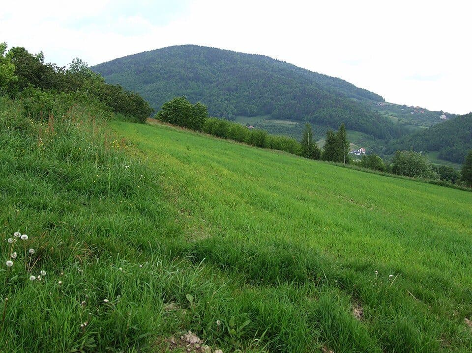 Łyżka - Przyszowa