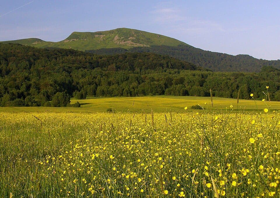 Przełęcz pod Tarnicą