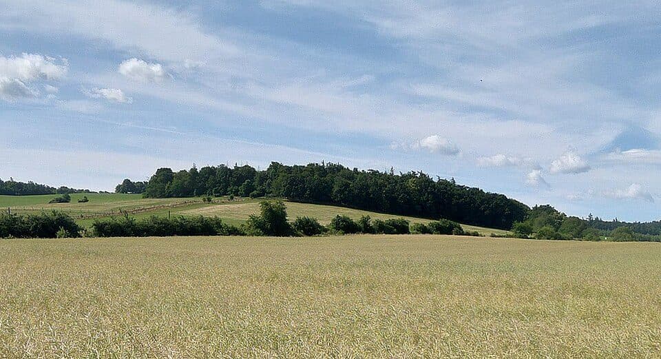 Zajęcza Kępa