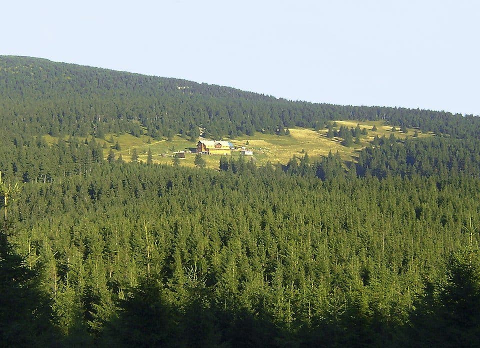 Hala pod Śnieżnikiem