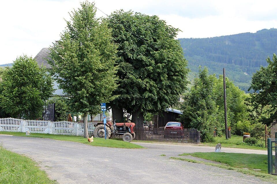 Skřivánkov