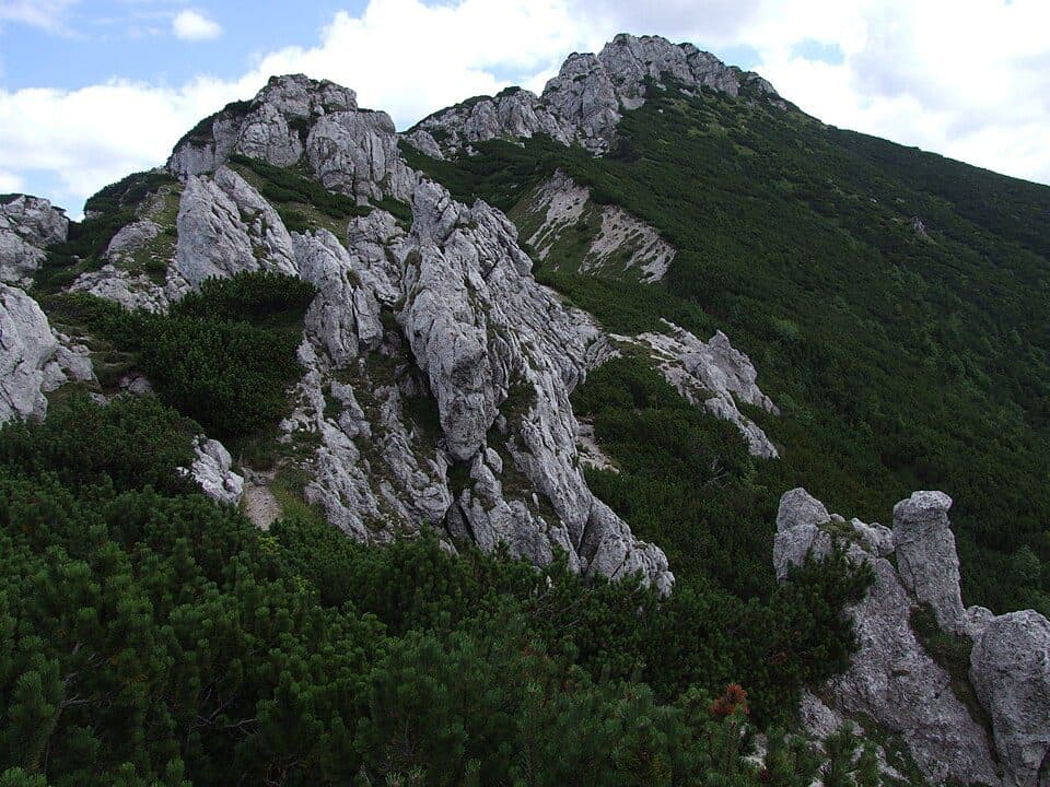 Siwy Wierch — zdjęcie 2