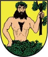 Městský turistický okruh