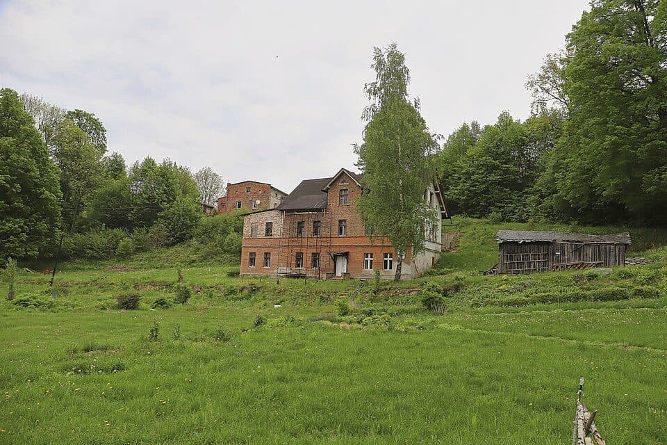 Gęstwina Granica PL/CZ
