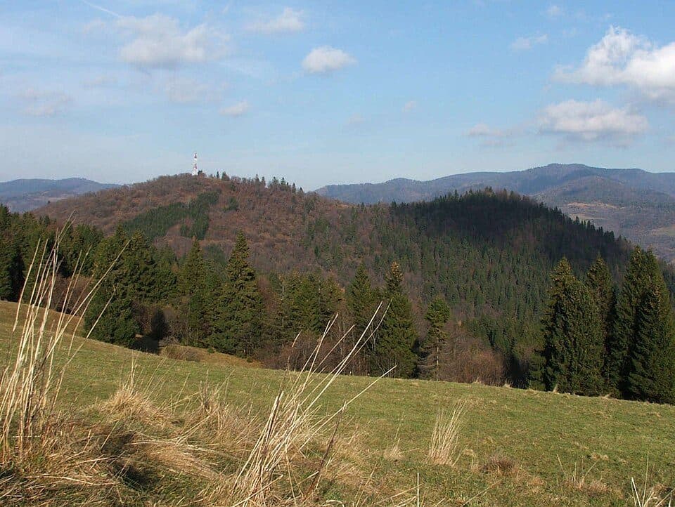 Czuprana — zdjęcie 2