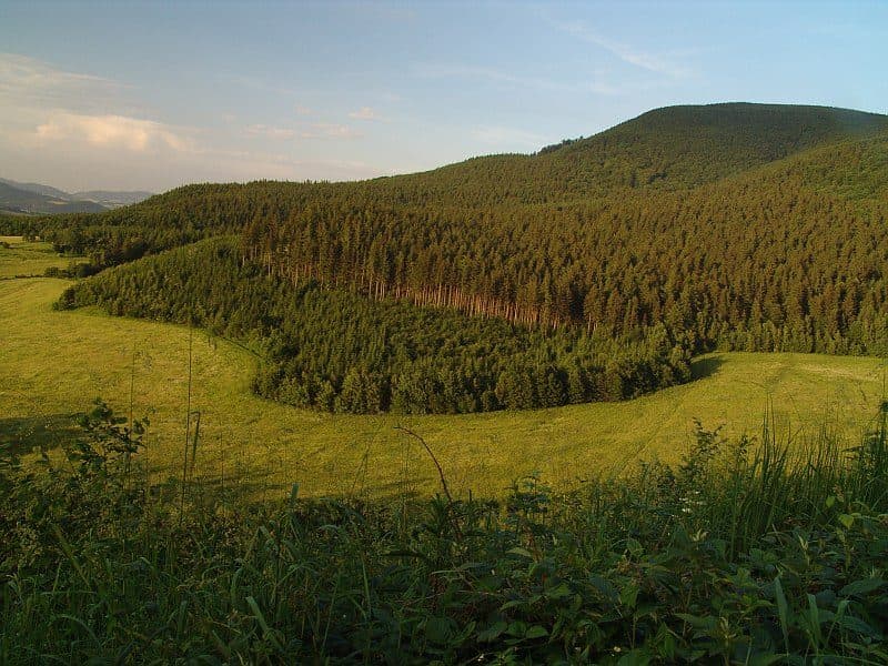 Veľký Javorník
