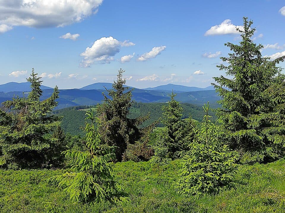 Via Slovakia (Makovský priesmyk - Drietoma)