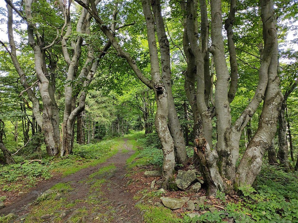 Via Slovakia (Makovský priesmyk - Drietoma)