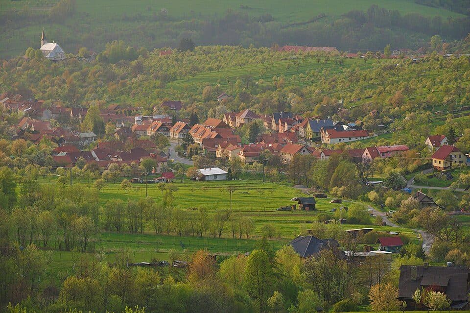 Nedašov — zdjęcie 1