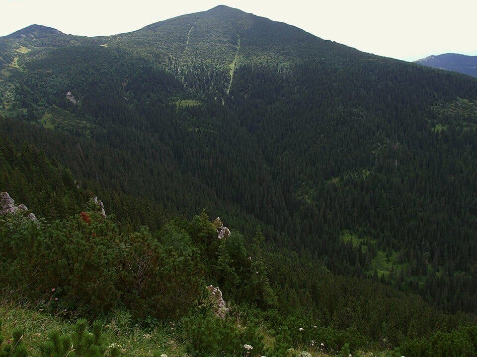 Bobrovecká Vápenica - Sedlo Predúvratie