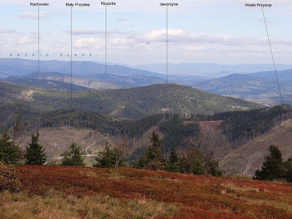 Jaworzyna (1021 m)
