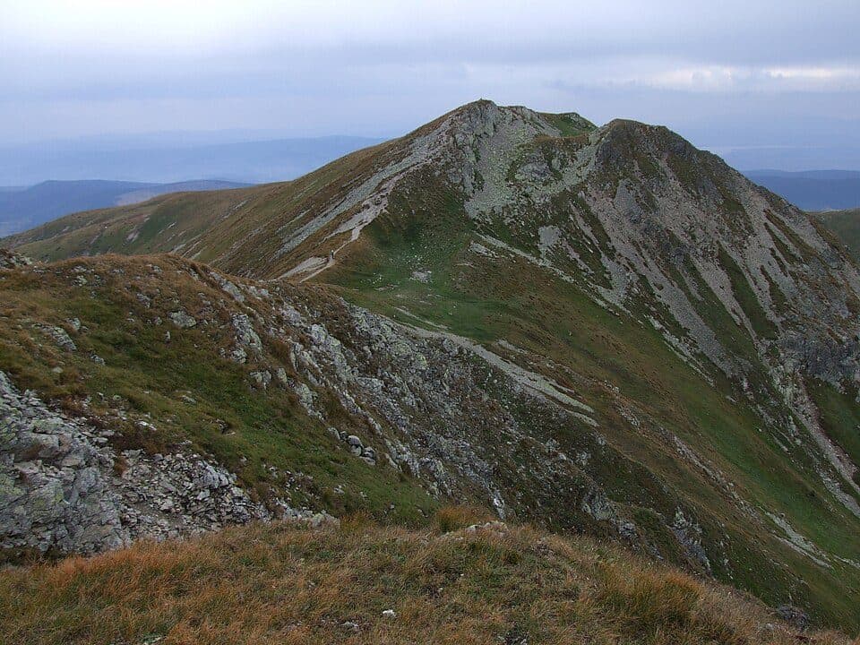 Mały Salatyn — zdjęcie 2