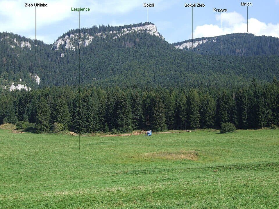 Sokol
