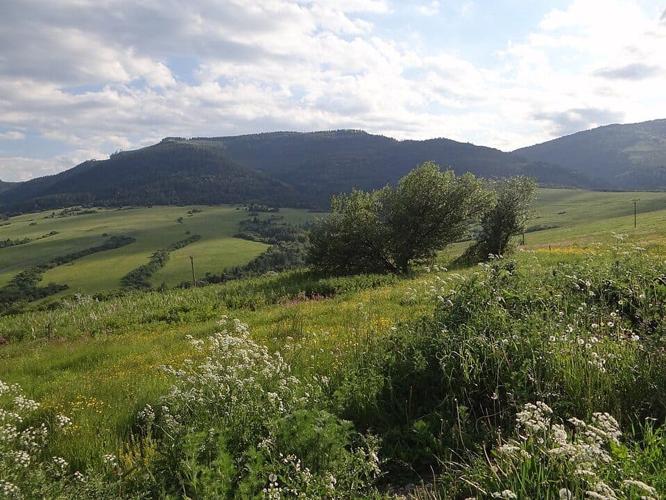 Čierna hora (vrch v Levočských vrchoch)