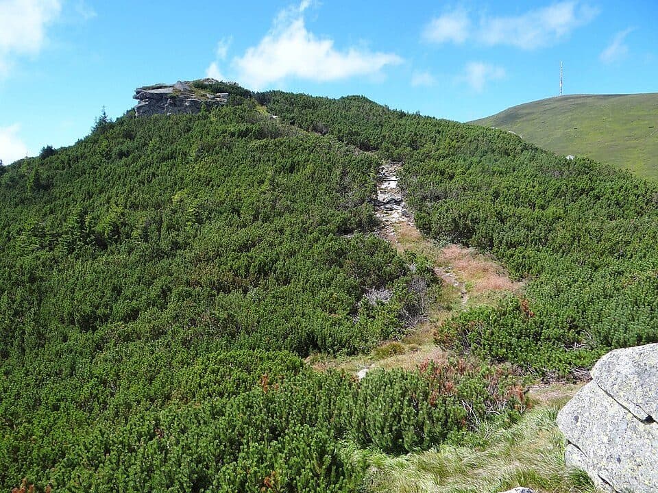 Kráľova skala (Nízké Tatry) — fotografie 2